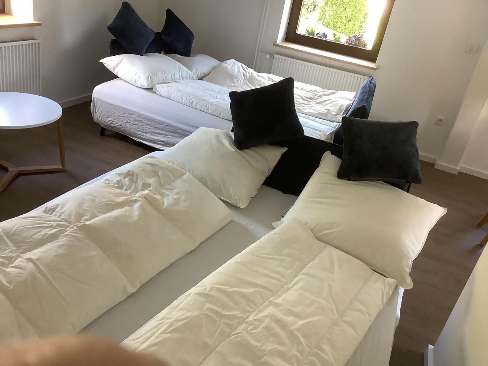 Berg Blick Eifler Bauernhaus Modern Restauriert سيمراث المظهر الخارجي الصورة