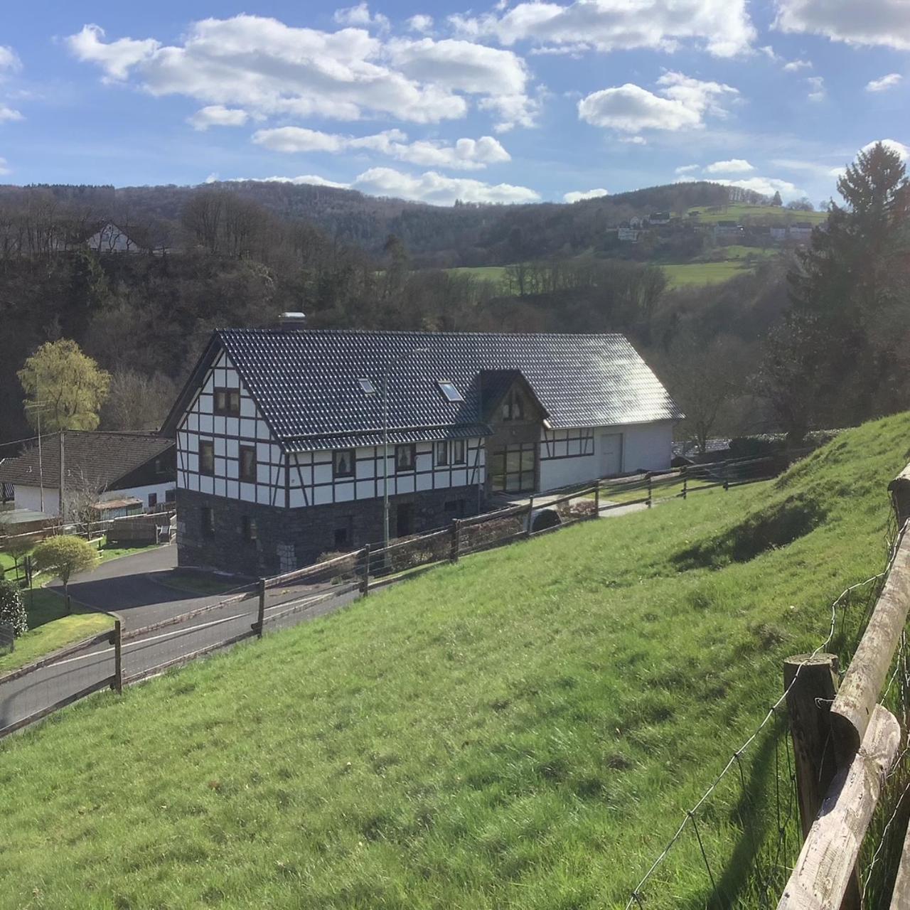 Berg Blick Eifler Bauernhaus Modern Restauriert سيمراث المظهر الخارجي الصورة