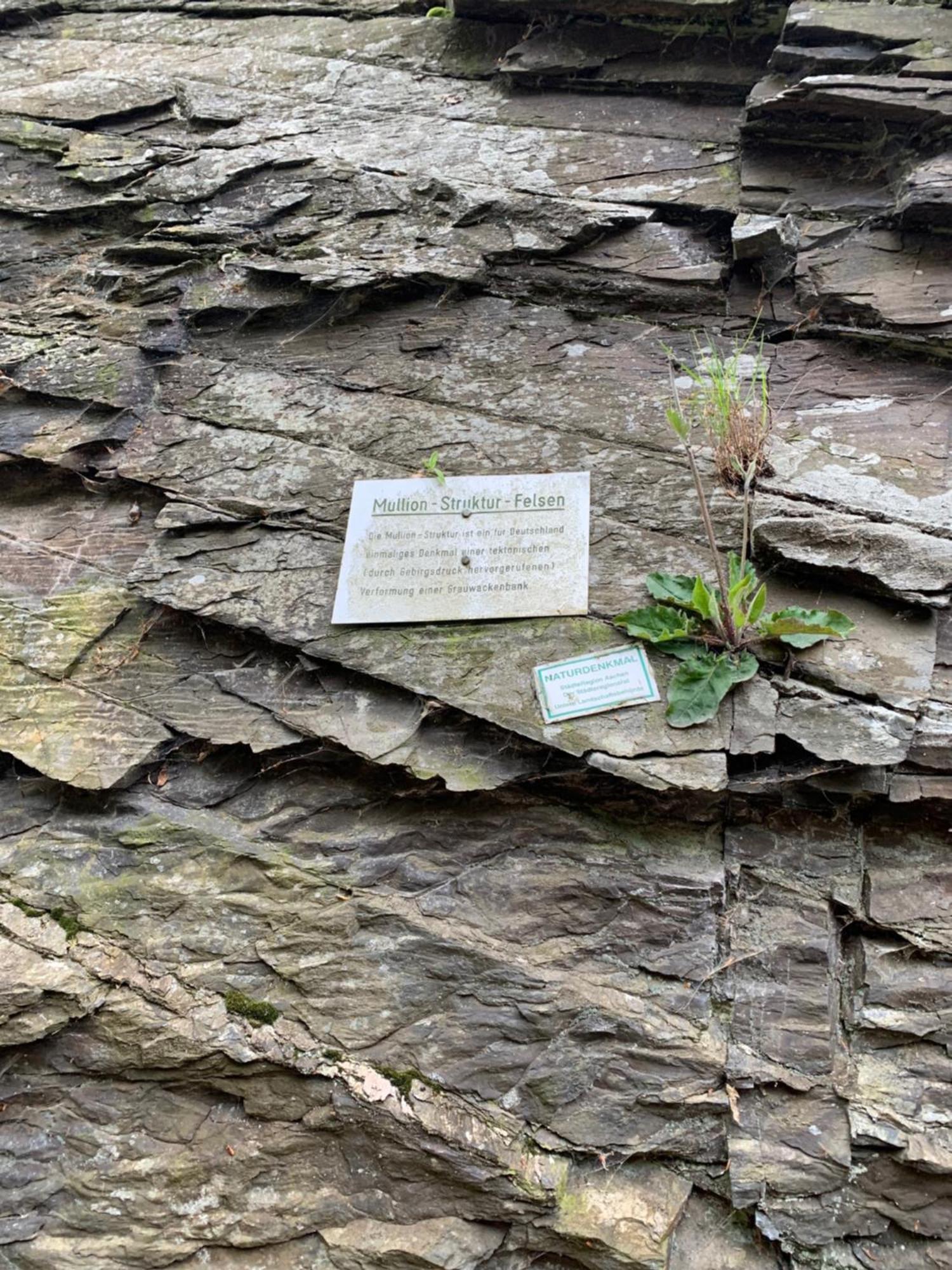Berg Blick Eifler Bauernhaus Modern Restauriert سيمراث المظهر الخارجي الصورة