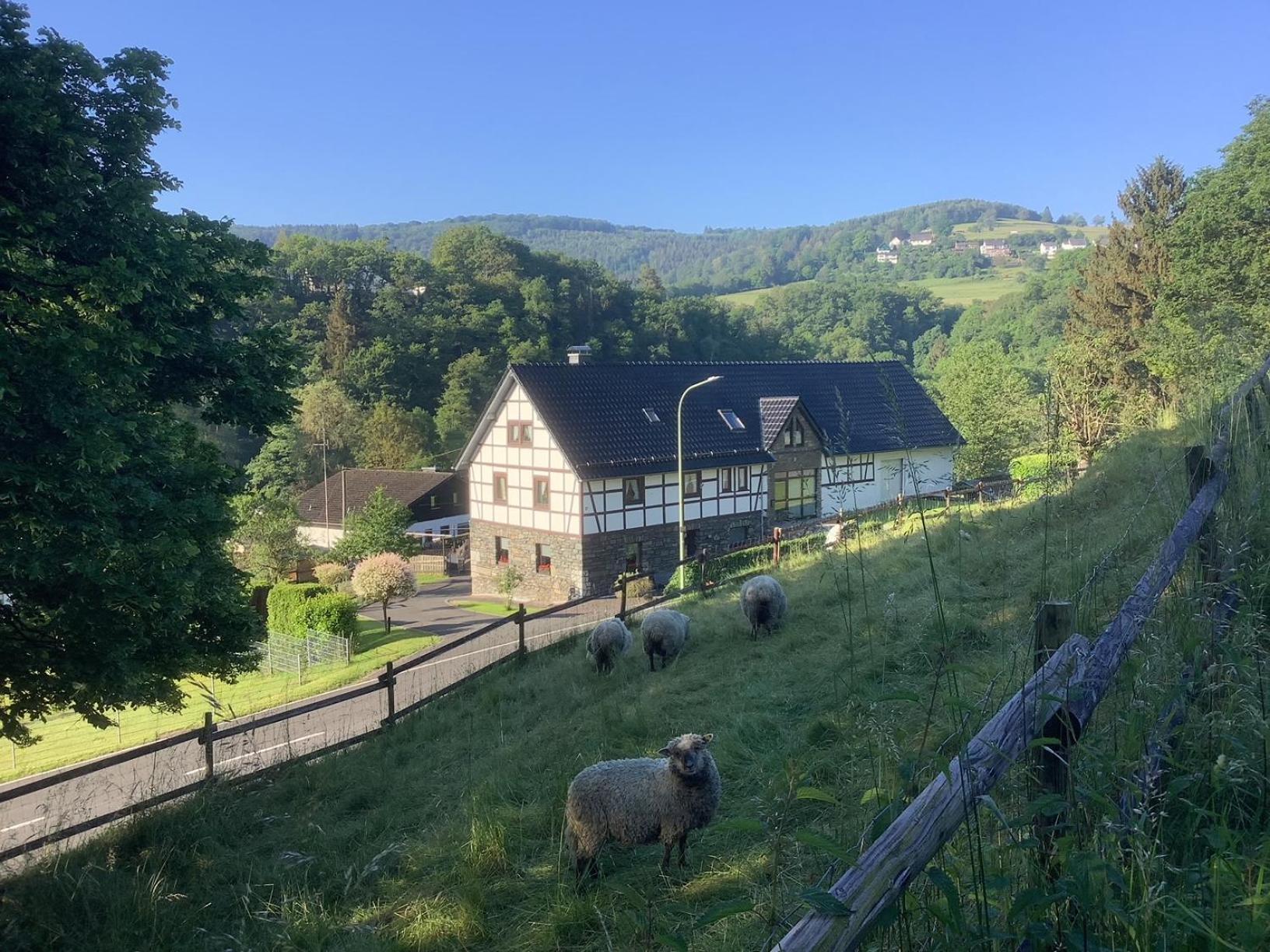 Berg Blick Eifler Bauernhaus Modern Restauriert سيمراث المظهر الخارجي الصورة